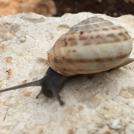 Girica Hébergement de vacances *