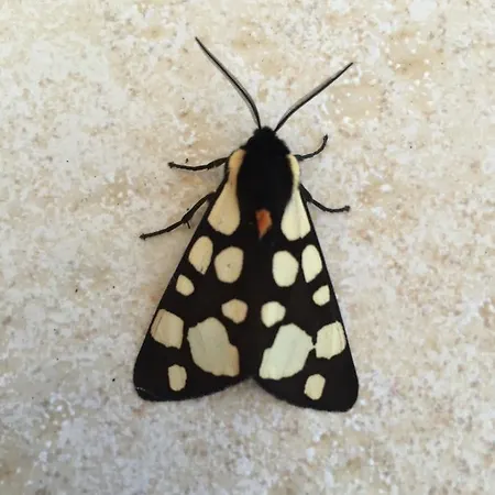 Hébergement de vacances Girica